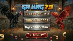 Xem Full Clip Đá Gà Bồ CPC2 Ngày 08/05/2026