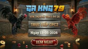 Xem Full Clip Đá Gà Bồ CPC2 Ngày 13/05/2026