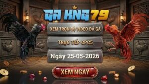 Xem Full Video Đá Gà CPC5 25/5/2026 Tại DAGA88