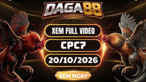Video Đá Gà CPC7 Ngày 20/10/2026 Trên DAGA88